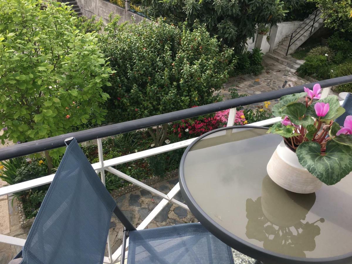 Dom Ruas Διαμέρισμα Peso da Régua Εξωτερικό φωτογραφία